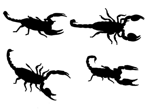 Scorpion SVG: Bold Graphics for Modern Crafts